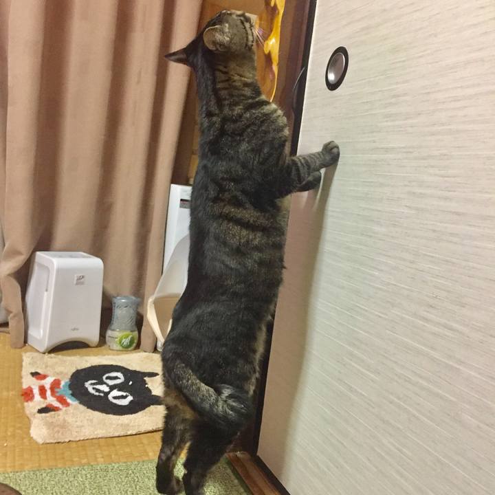 B739c67d 11c0 400e 933e c0c42ed87962