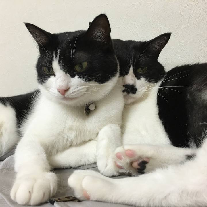 B739d157 45fd 4c92 b9c4 9ed6a1678cd3