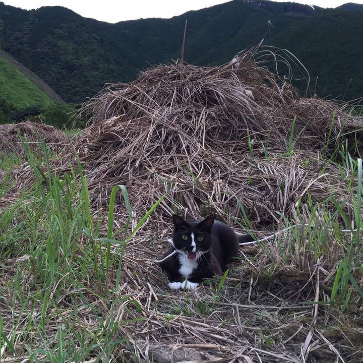 B73a1203 8b31 41b4 84e5 636cc5497b15