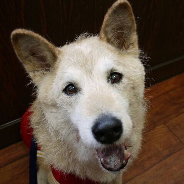 B73be973 65e7 4f5d 9f52 1417839b773e