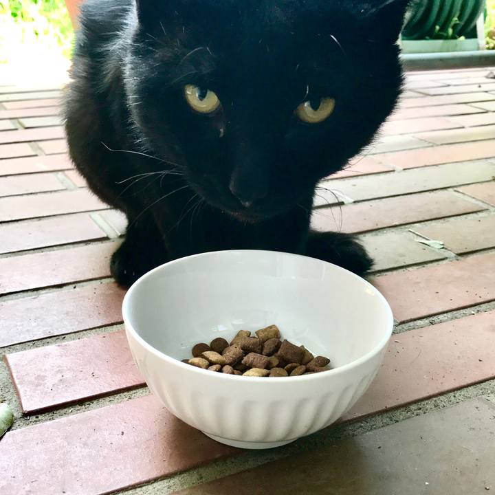 B73c00f4 aa0b 4e80 9112 b41b3ac4cc75