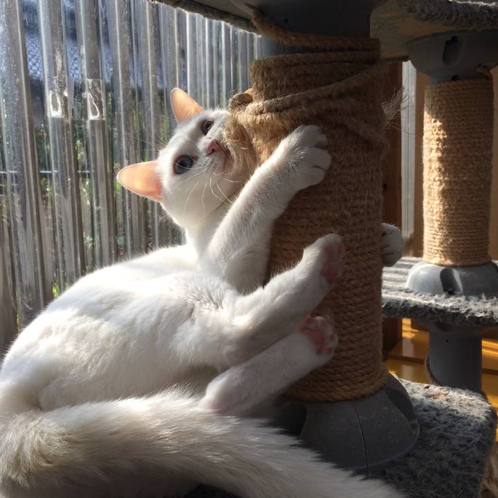 B73d28a8 e76a 4c0c 815a b469d47bbfb2