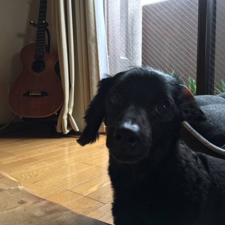 B73d6d33 1a60 4a93 935b 5cbbc3c57284