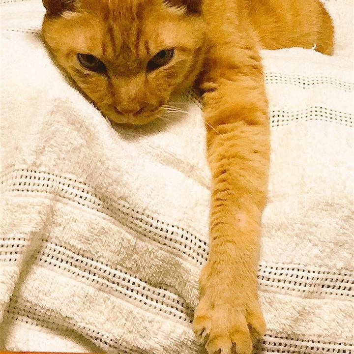 B73da058 8fd8 4ee1 a510 463feb8431b6