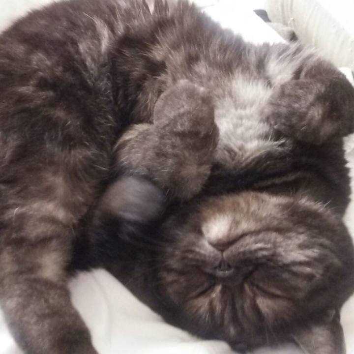 B73dc23b 09b3 4271 91e6 86e4dab6c6a6