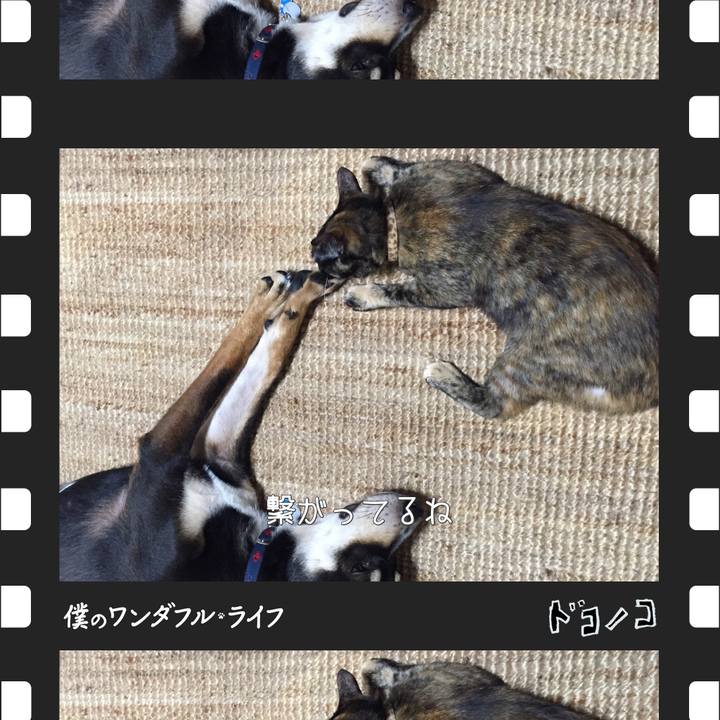 B73dfdd7 0878 4a89 b89b bea3fb0e4bb0