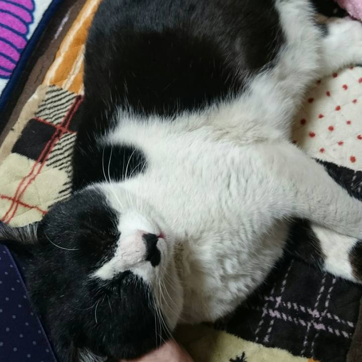 B73e6b50 1b9b 4290 873c 18117e48edde