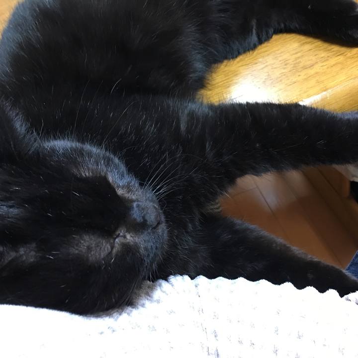 B73f26bb 0395 4706 b428 6949df9f0c1e