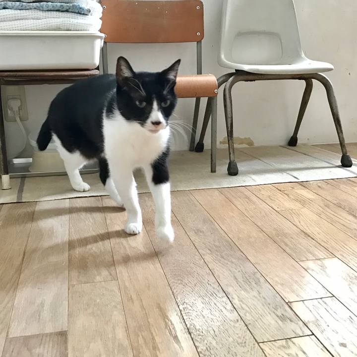 B73f3fc8 9156 4d0f bf81 02ef4489c18d