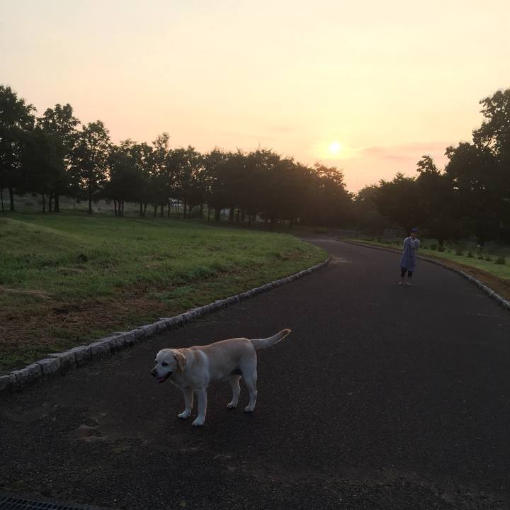 B74027db 8b92 484c bfab b93424e95dbc