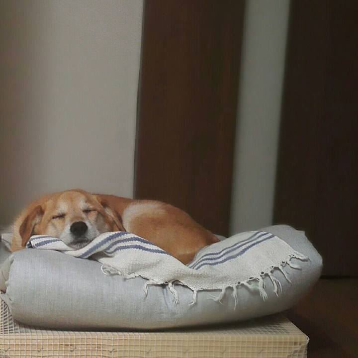 B7404237 5139 4fbe 8927 d36708de6a5b