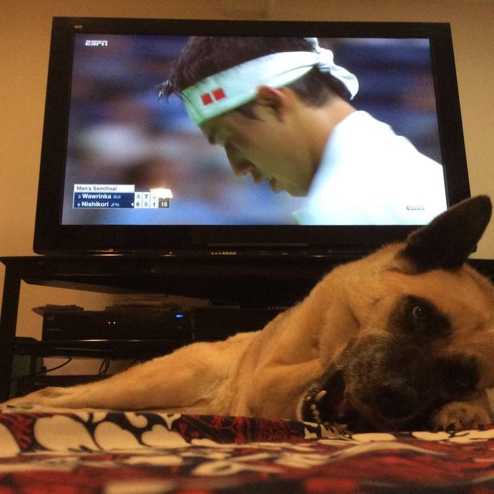 B740577f 3d87 4aa3 bc34 b4d9b90391fc