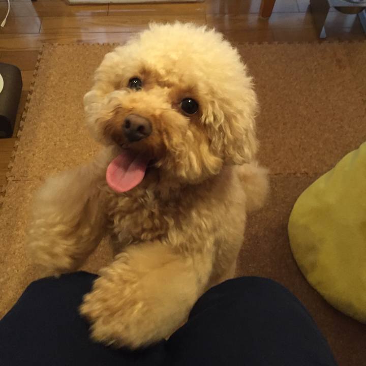 B7410484 5489 4556 a2b6 d30895ed25f0