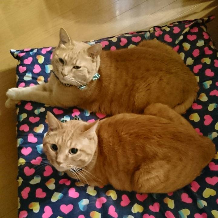 B741256e 268e 44c4 9ec2 50de79bbbbb9