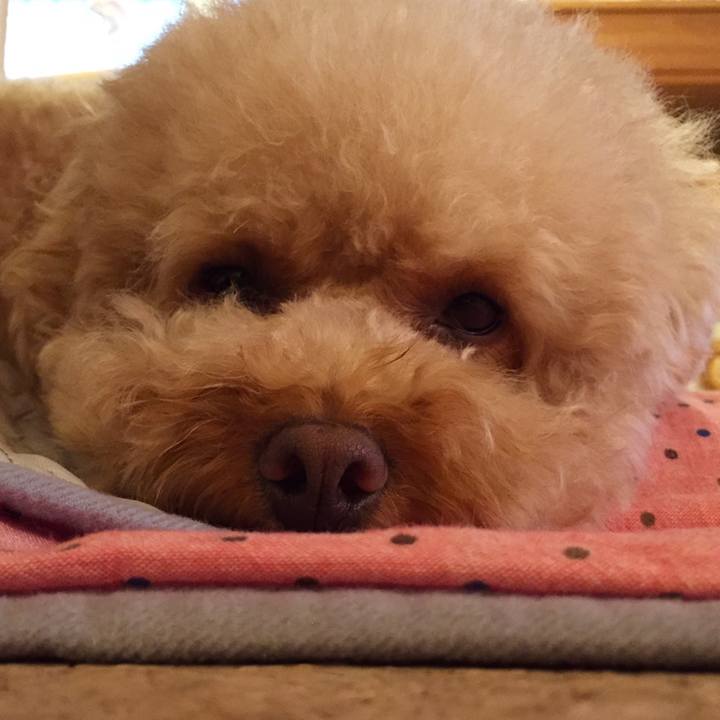 B741beae ae17 4097 919c 2efff6df8a80