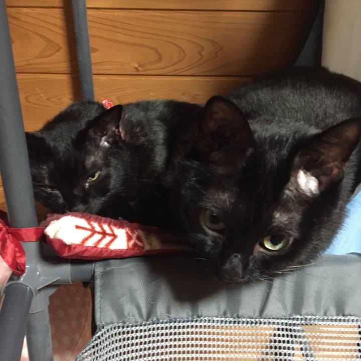 B7420a97 fd60 406d 90f1 7bf4f707764c