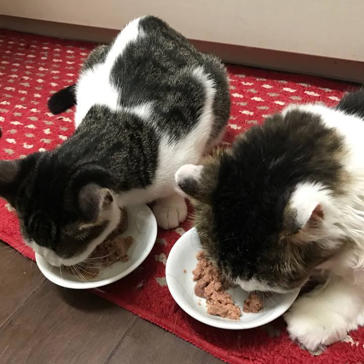 B7425829 e061 4a8b a59c a58611cbc29c