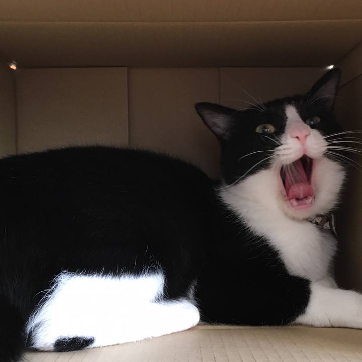 B743938a f7dd 4b58 a95f d9d513932cd1