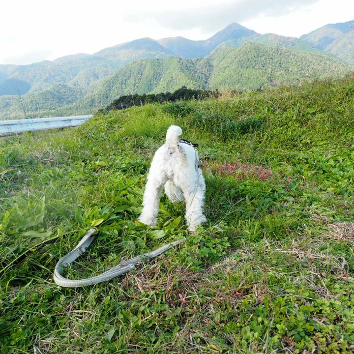 B744a68e 3b6f 4dc0 9eb2 2c3c844b772e