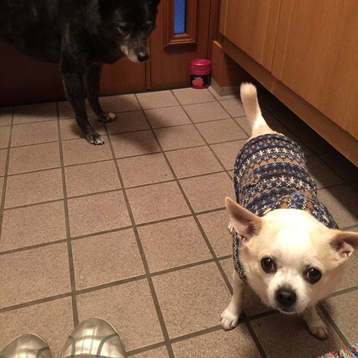 B744b213 019b 4594 ba2c c6f73bd83c56