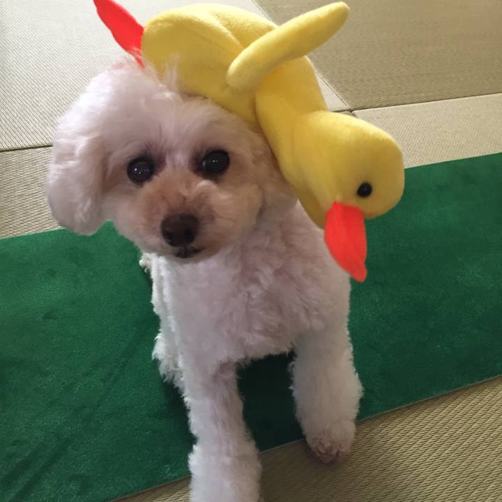 B7450ea4 0a12 46ca b256 8fdf1cb8f851