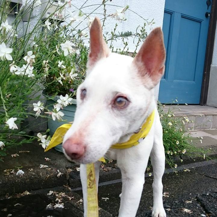 B74542f3 54aa 4e67 9813 a97b1e60d89e