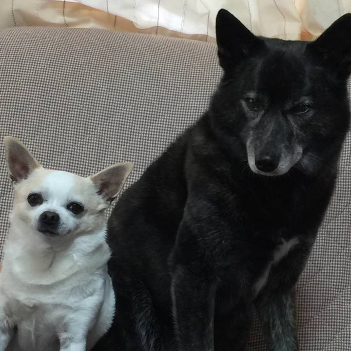 B7457897 dd51 4871 a126 ca411dde9a20