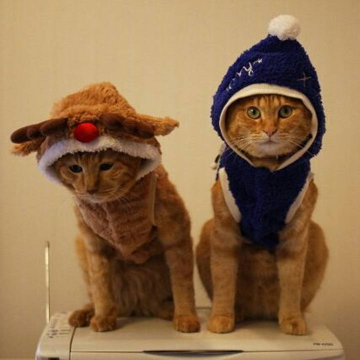 B7457da3 f1ae 4fe6 b078 bffe407523ac