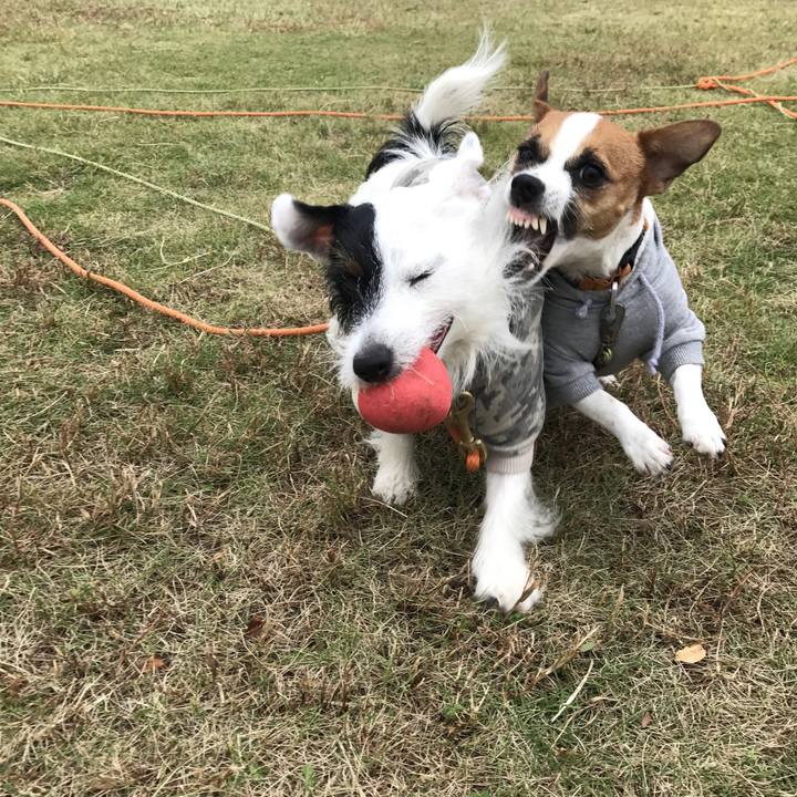 B745b622 7c63 41bd 8bb7 4711a4c2cc2d