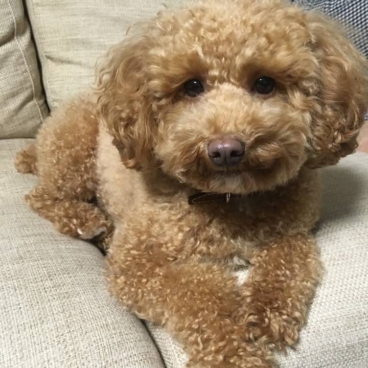 B745bbc4 e15b 46f4 8f53 4df515ec6701