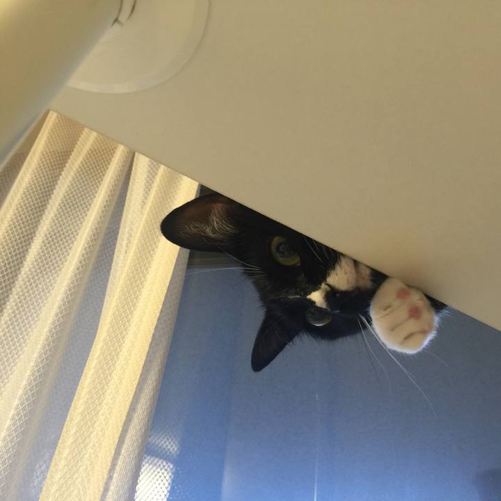 B747687a de77 4e6e b091 ebe304ab1a58