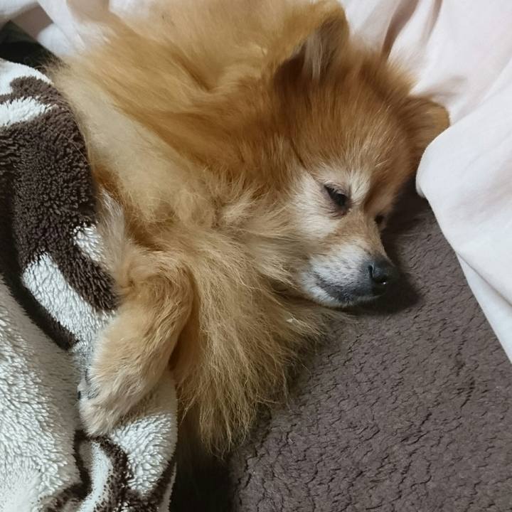 B747d209 bb5b 427d a270 cb6ab301dfb5