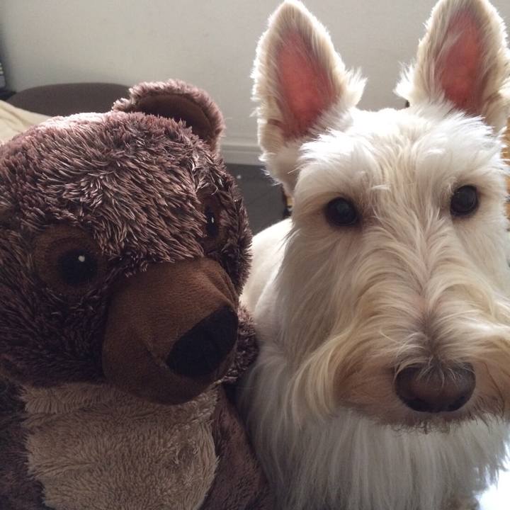 B7480ae1 47a3 4450 afde ef240886f4d6