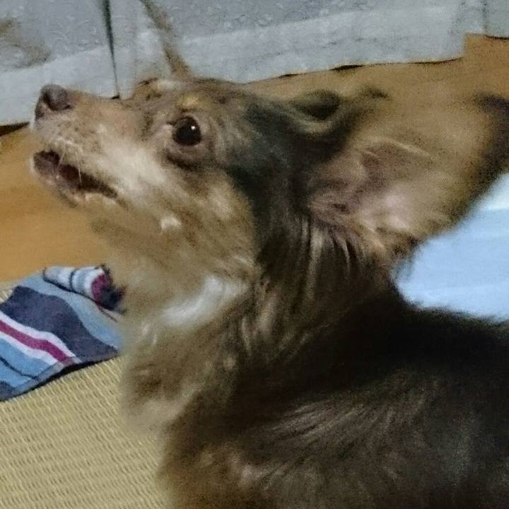 B74924bd eadd 4b16 8f31 79dbbc663969