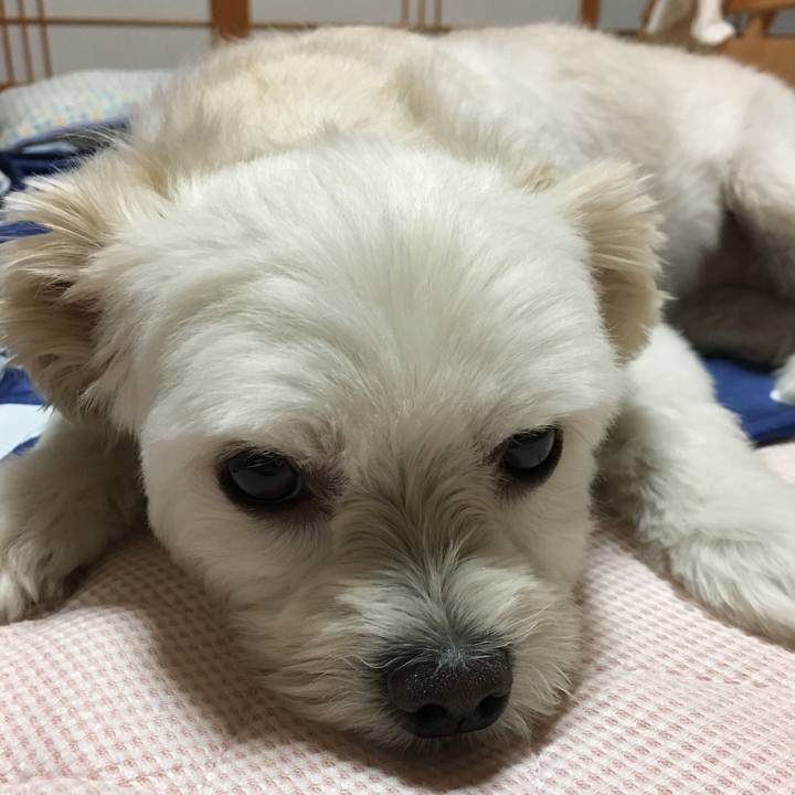 B7493197 8558 41ee 8257 e49c684ddaf6