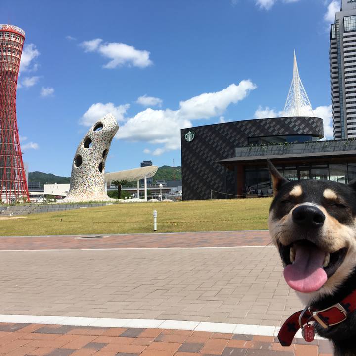 B7493e79 5b60 4e27 ac5b ff6dcea49c53