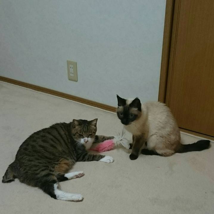 B74990a3 7f20 479a 99ae 8e5c6d15e456