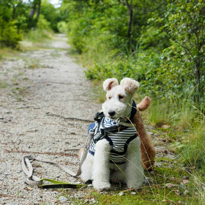 B749c2c1 3c72 438d 9bb3 9f98c67e1d08