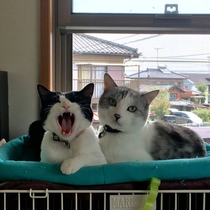 B74a4a48 9cbf 44f8 ab27 1f53070d49e5