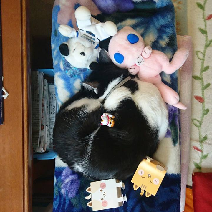 B74a5e8c cb29 430e ad93 a4195cbe5c71