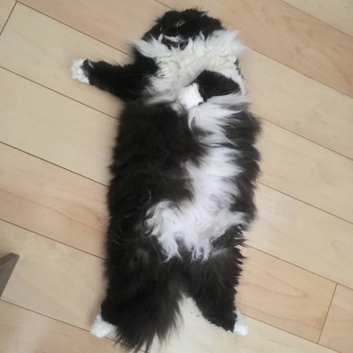 B74af6f7 23da 4520 bd8a 3a01d0af0e70