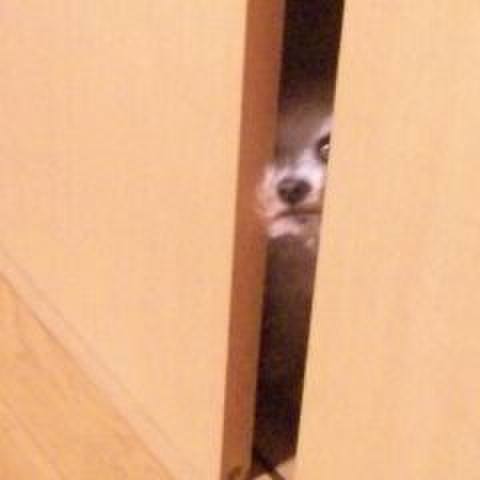 B74b349e b58b 4f28 ad15 dd6ae39484d8