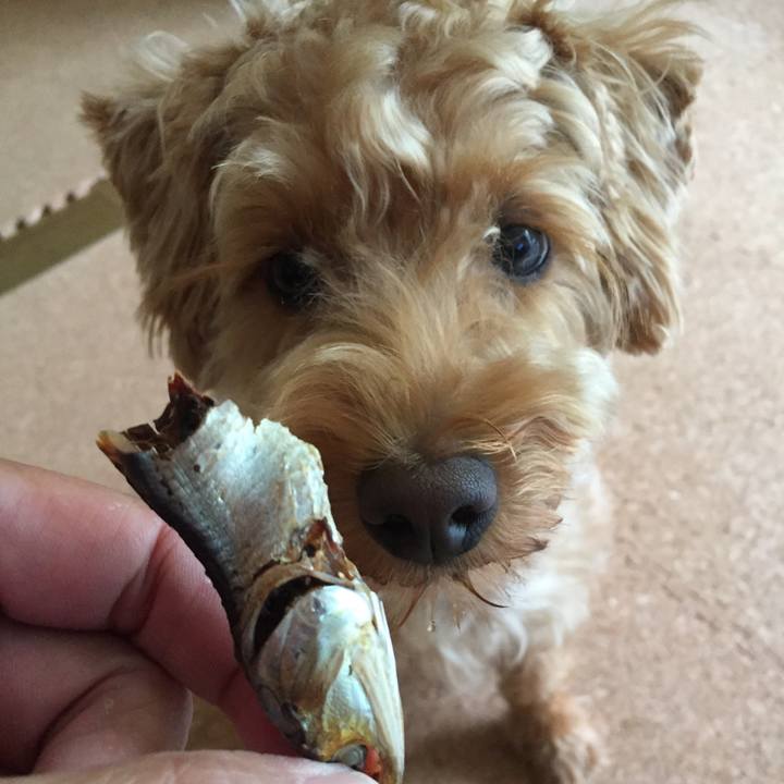 B74c45b9 9db4 4fba b562 2a873f2ce3e7