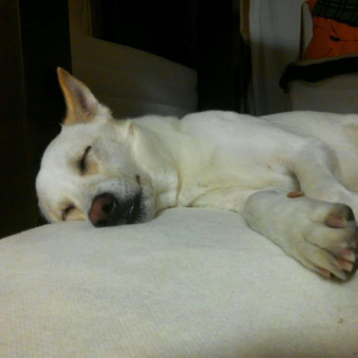 B74d0693 e219 4859 ad63 88347d888cc5