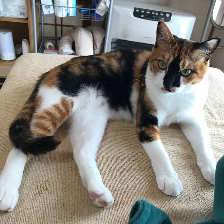 B74d1693 fdb2 4345 98e1 451d83d12c6d