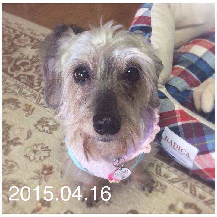 B74dfc23 536b 4e12 9b83 4aeb5f16d4d3