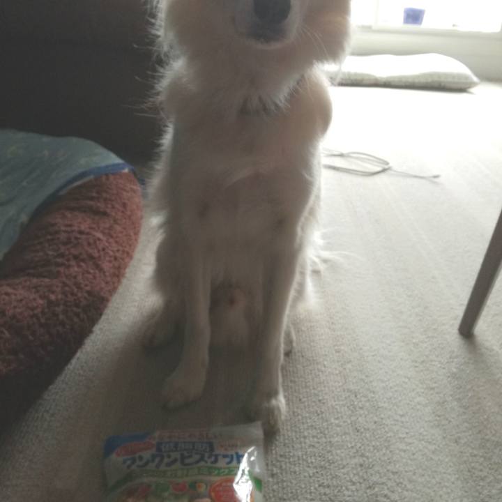 B74e3e80 f3b1 4423 ae20 3e603257a22d