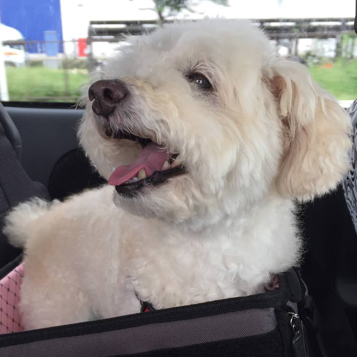 B74e69a9 5f5d 460f 8069 e9ee1862eb38