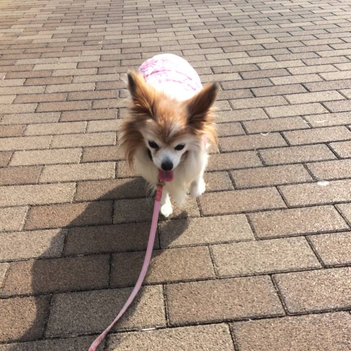 B74ee23d 0572 4924 9880 813b7a6dc6d9