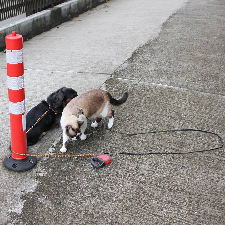 B74ef172 ca0c 4982 8905 33ce80894fa8